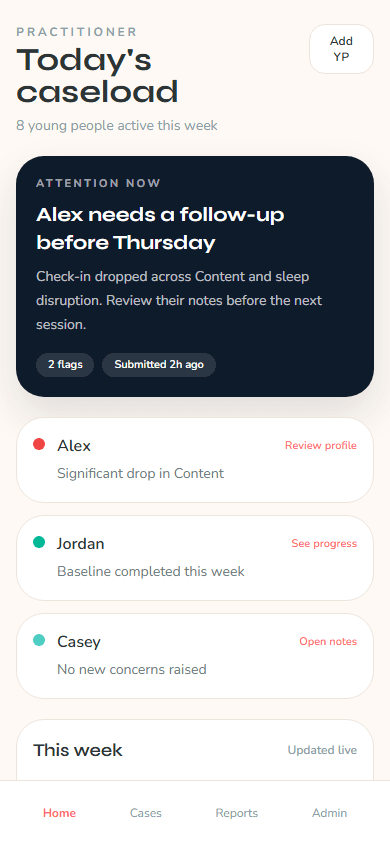 Practitioner dashboard showing caseload overview, concern flags, and recent activity